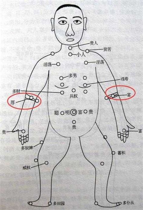 手臂上有痣|史上最全的手臂痣相圖文詳解